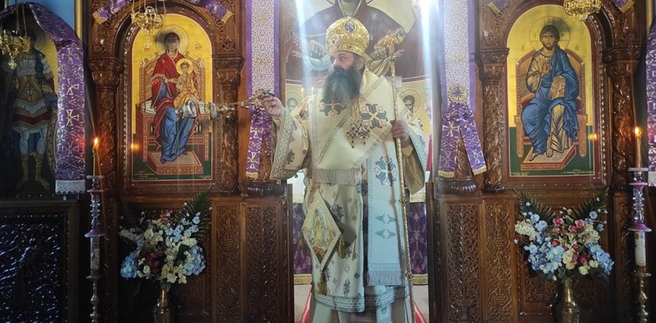 agios dimitrios stefaniou