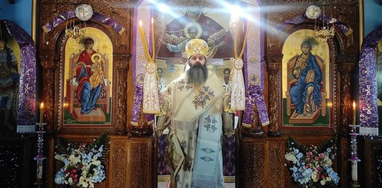 agios dimitrios stefaniou