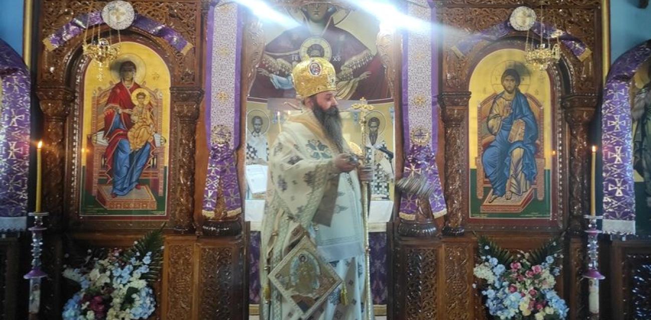 agios dimitrios stefaniou