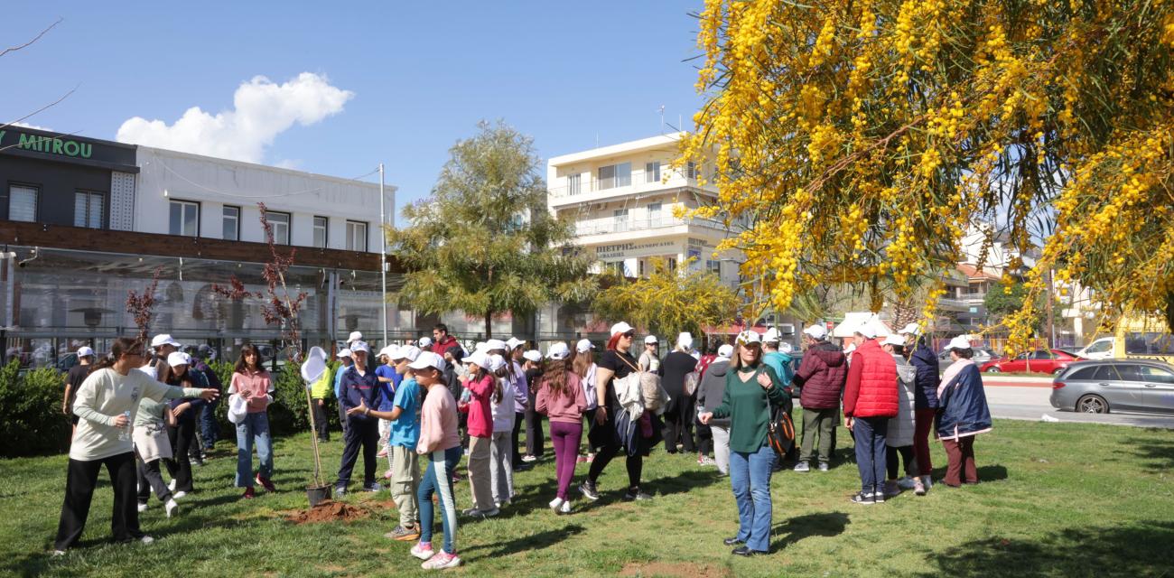 dendrofiteusi-korinthos