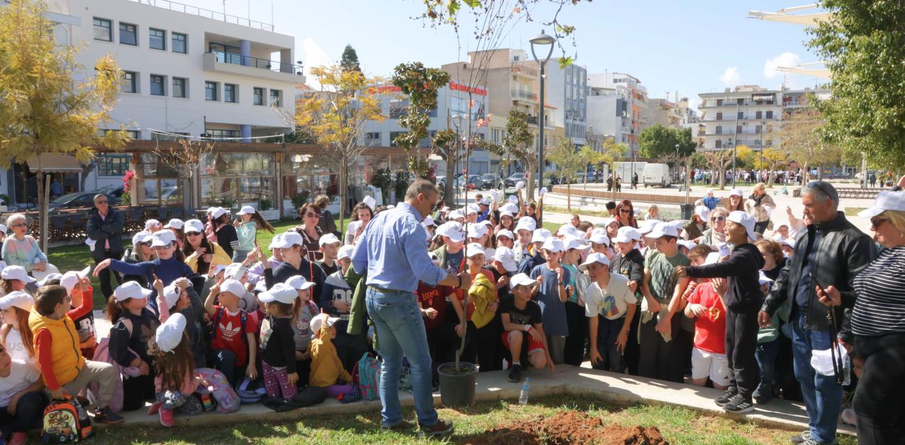 dendrofiteusi-korinthos