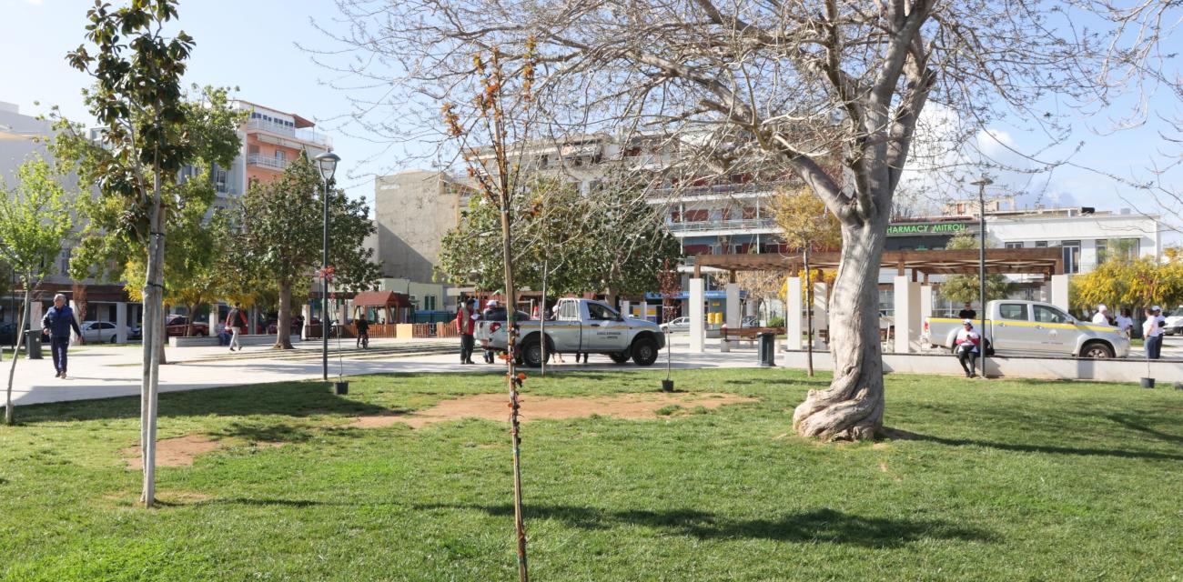 dendrofiteusi-korinthos