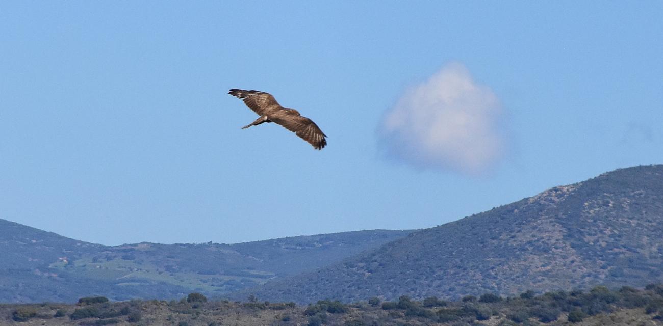 geraki-nafplio-anima