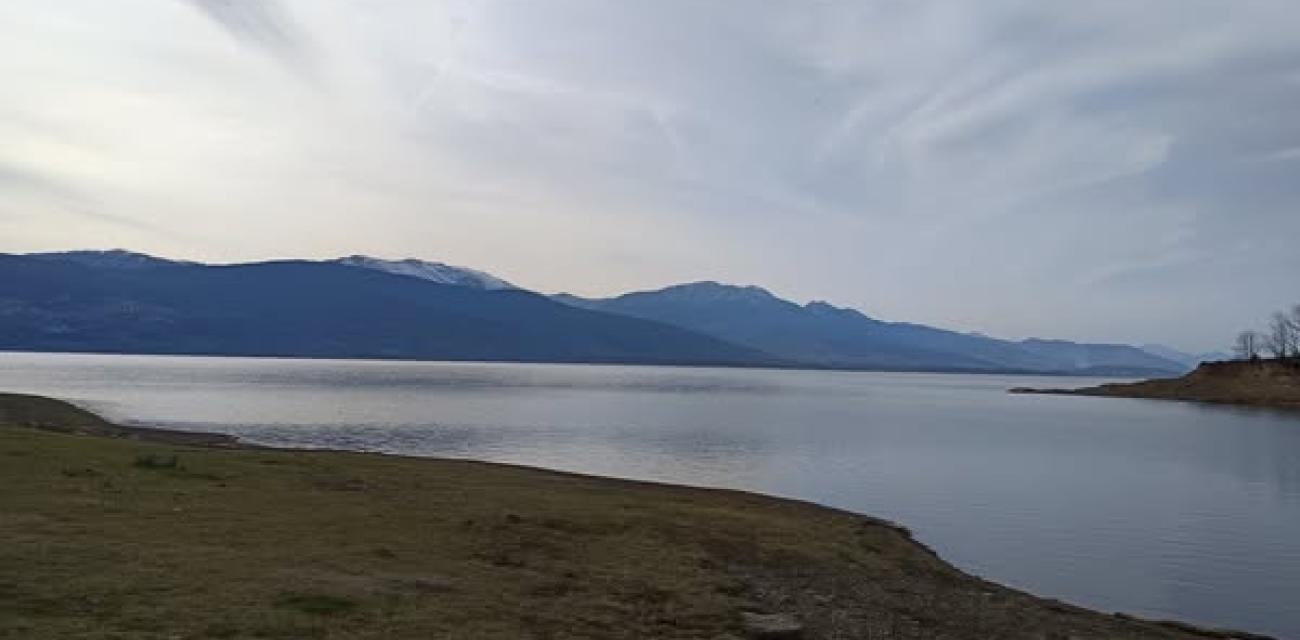 klenia