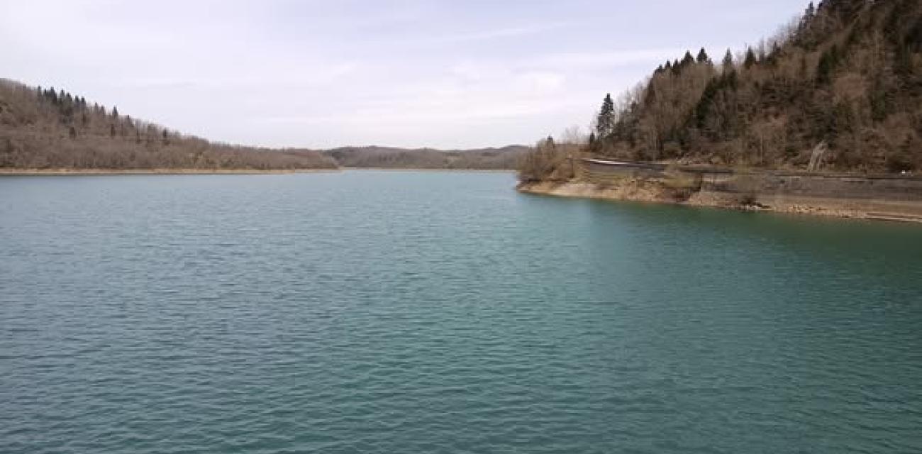 klenia
