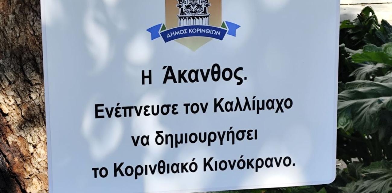 korinthos-ypiresia-prasinou
