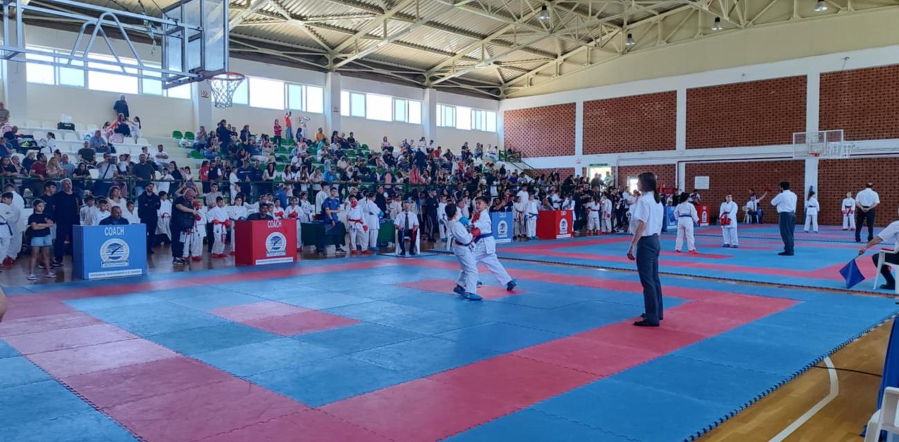 protathlima-shotokan-karate-xylokastro