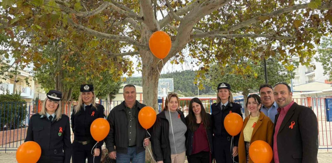 590270768_1431144139018971_1222998324924851643_n