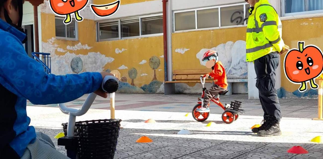 ΝΗΠΙΑΓΩΓΕΙΟ ΑΛΜΥΡΗΣ