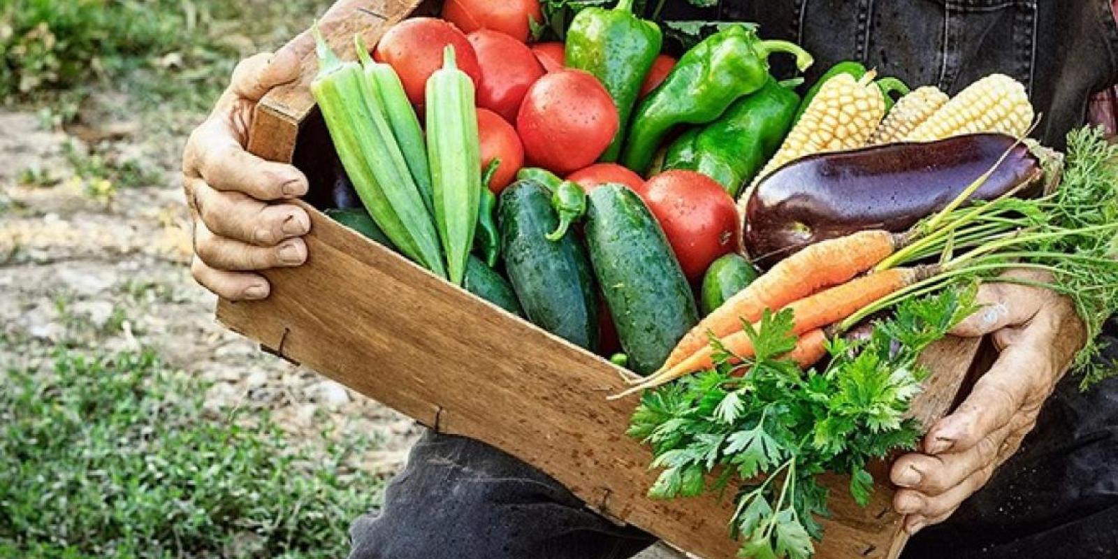 agrotika-proionta-agrotes