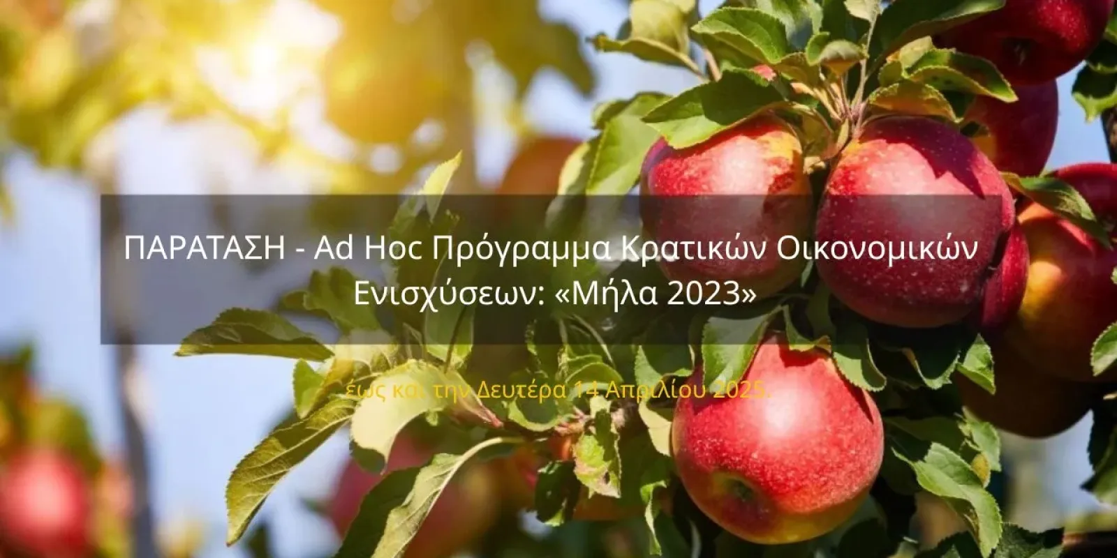 paratasi-programma-oikonomiki-enisxysi-mila-2023
