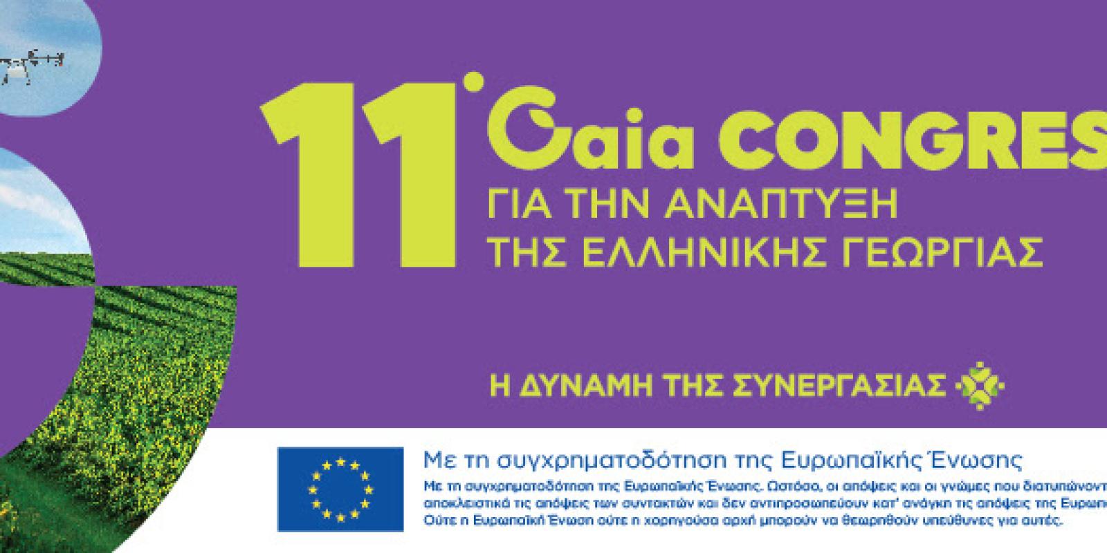 synedrio-elliniki-georgia