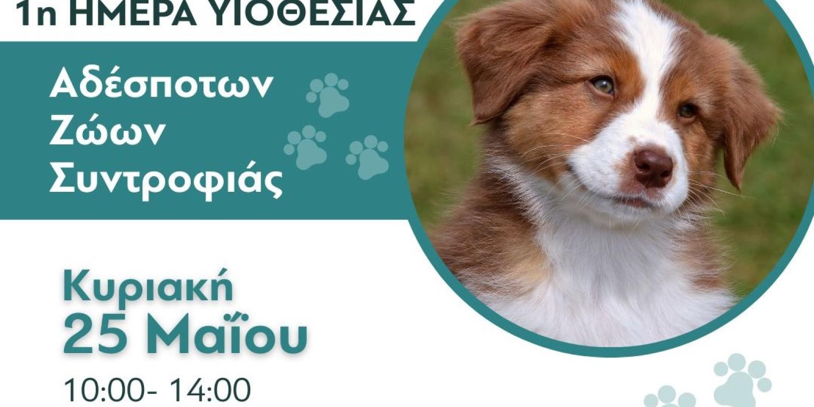 1Η ΗΜΕΡΑ ΥΙΟΘΕΣΙΑΣ