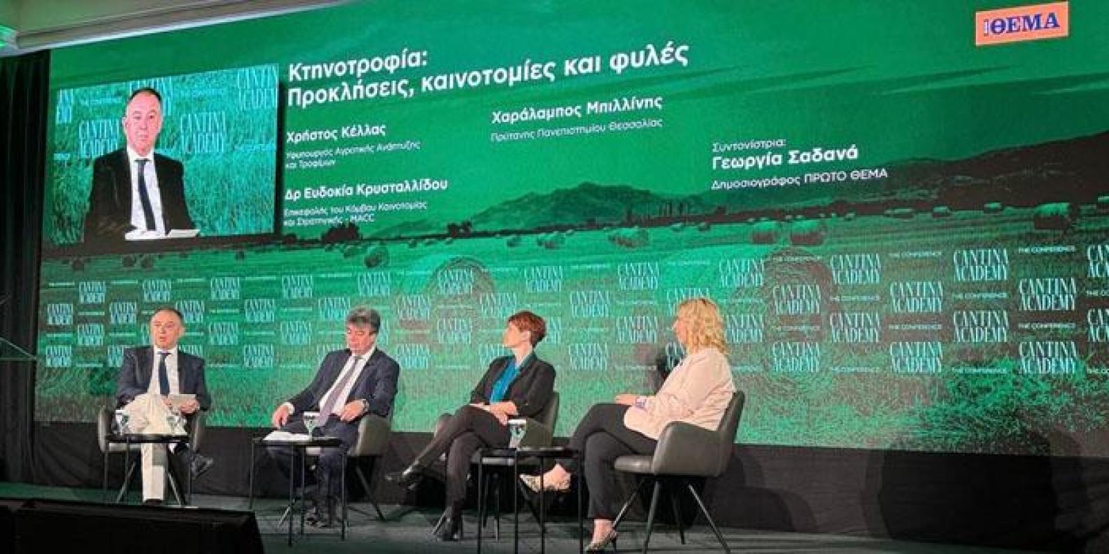 fototypos