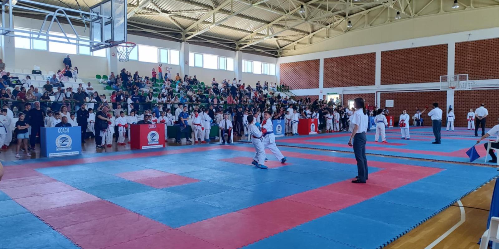 protathlima-shotokan-karate-xylokastro