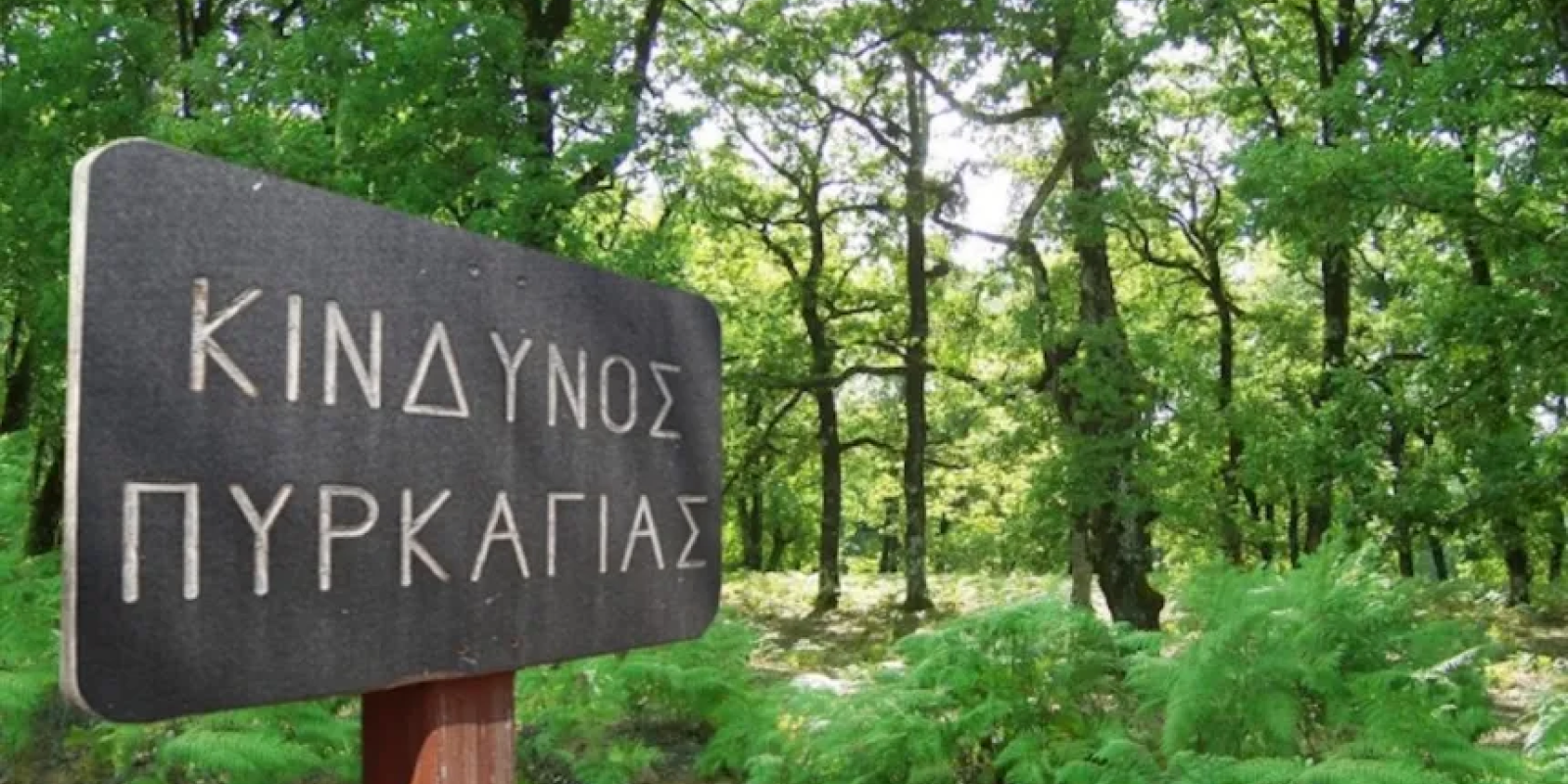 kindynos_pyrkagias