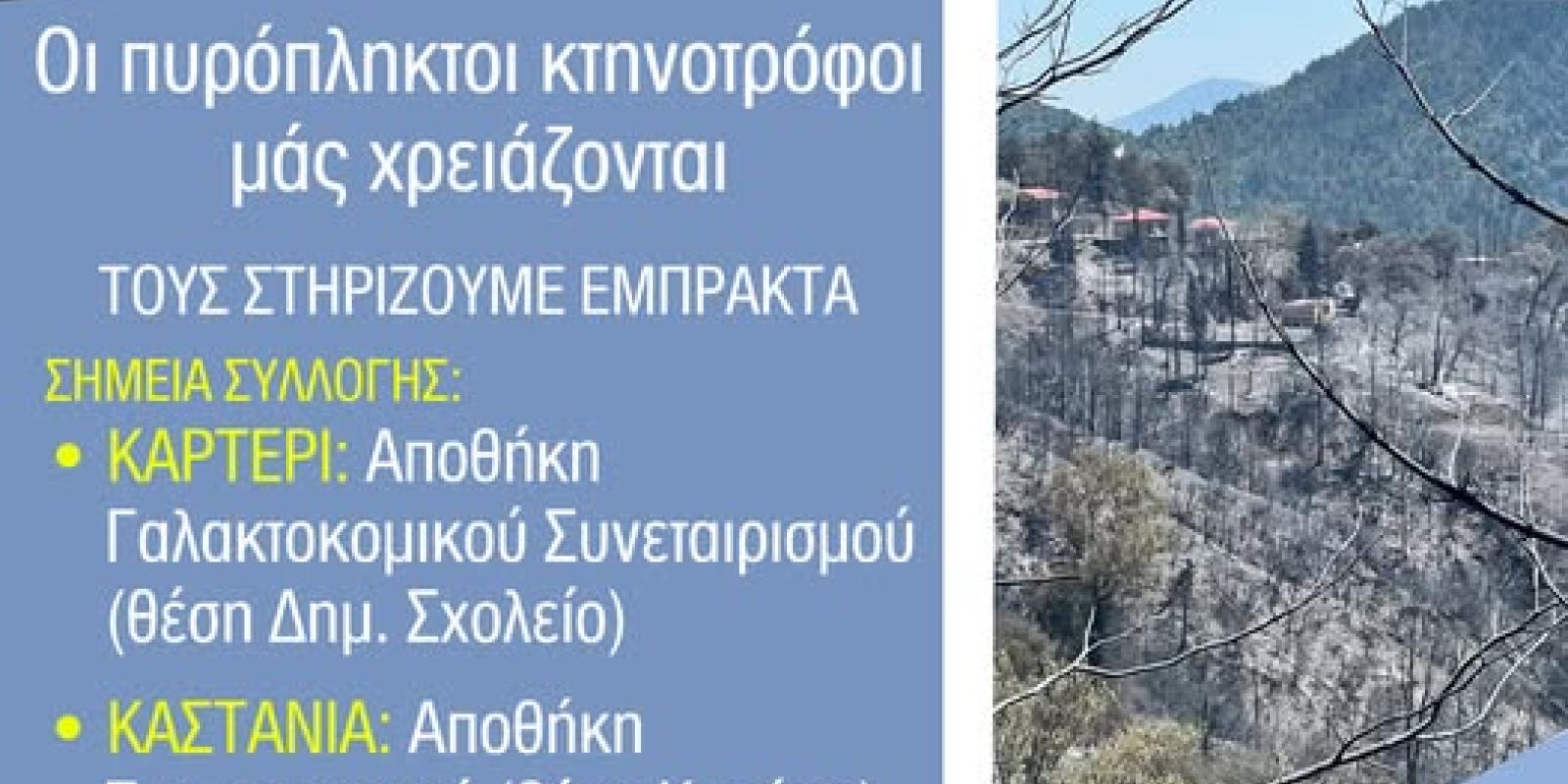 sygkentrosi trofimon