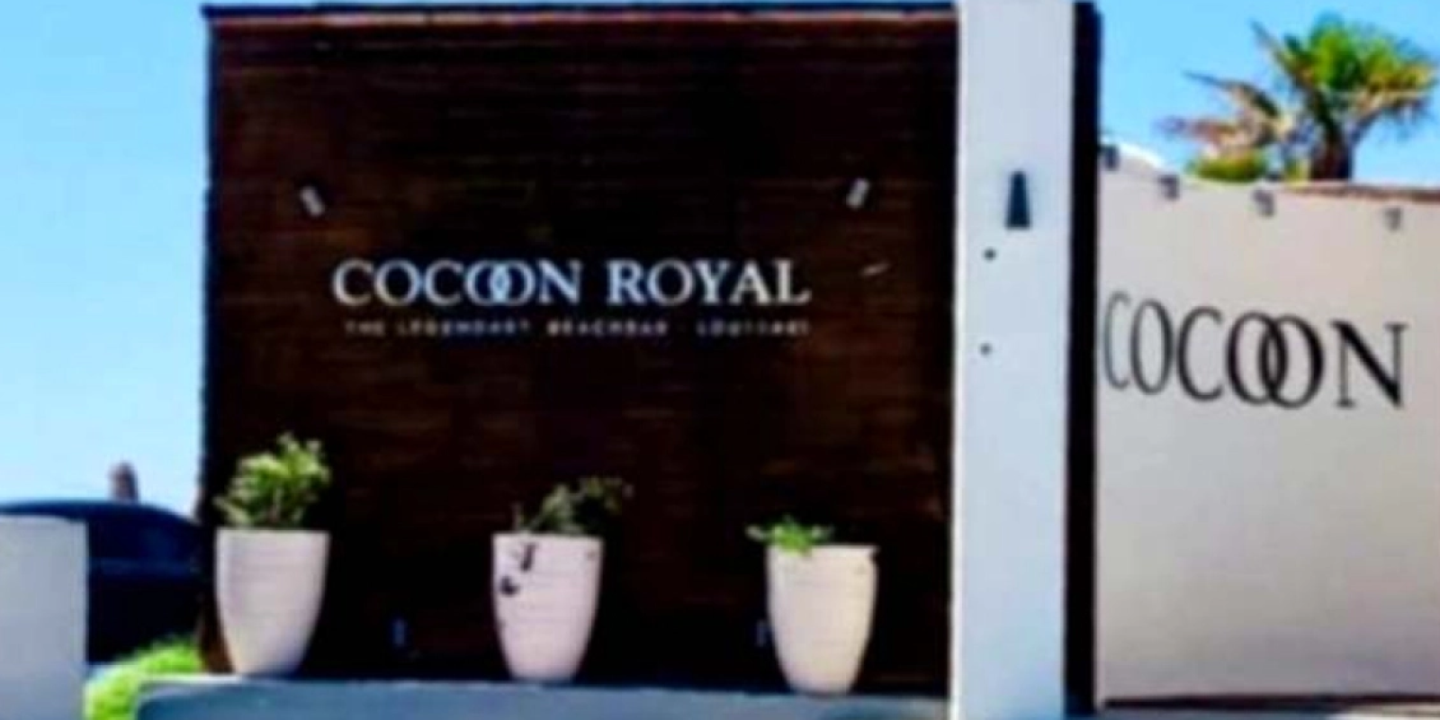 cocoon