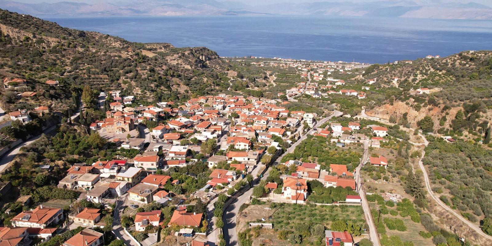 zaxoli