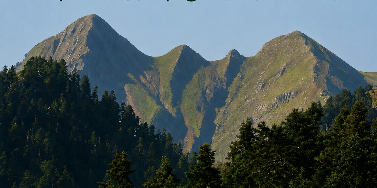 vfv
