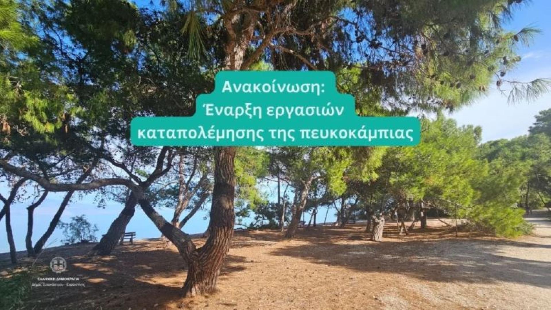 ΜΔΚΧ 