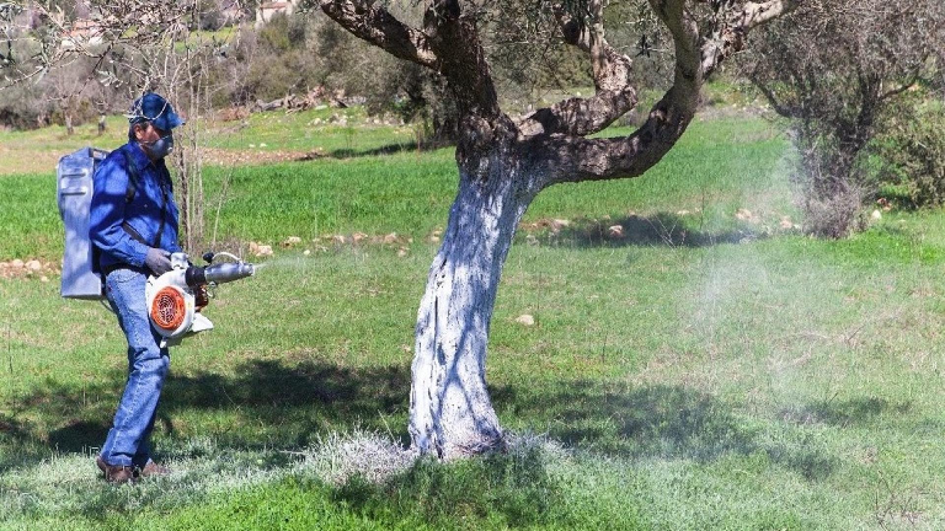 dakoktonia
