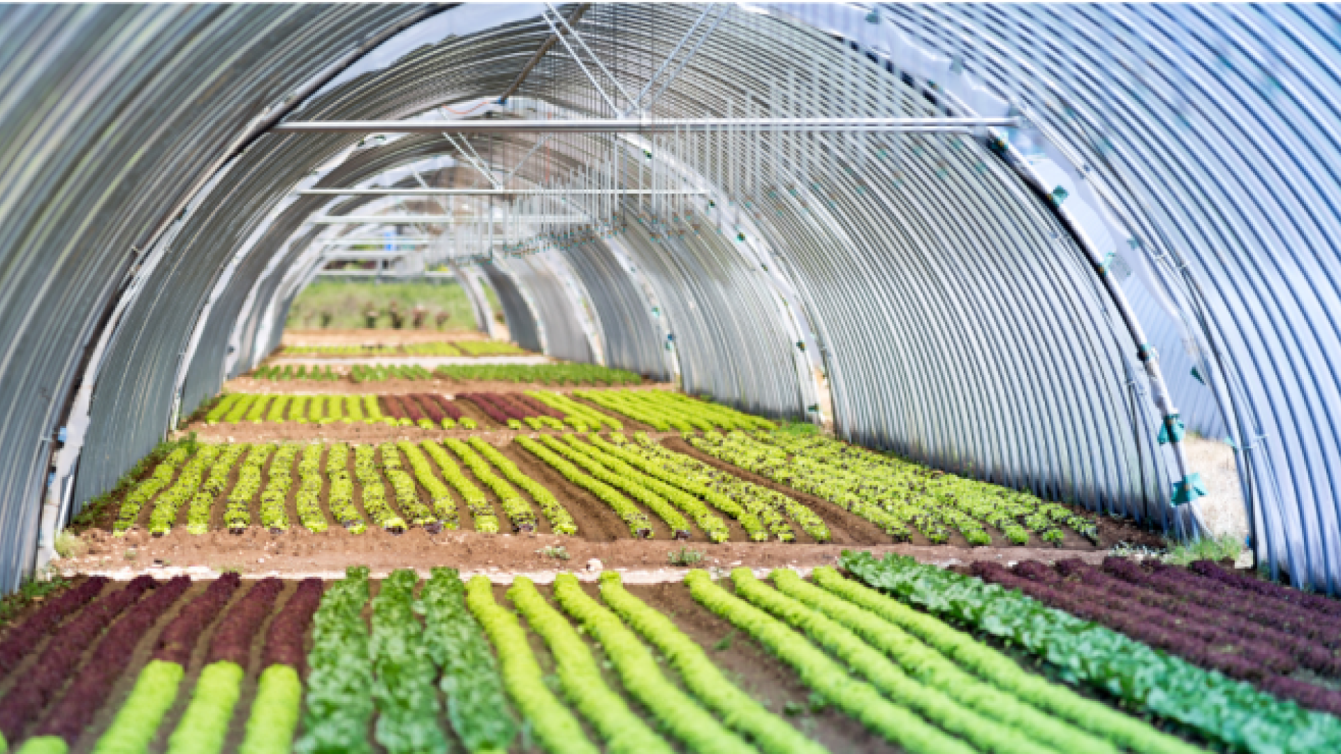 agricultural-products
