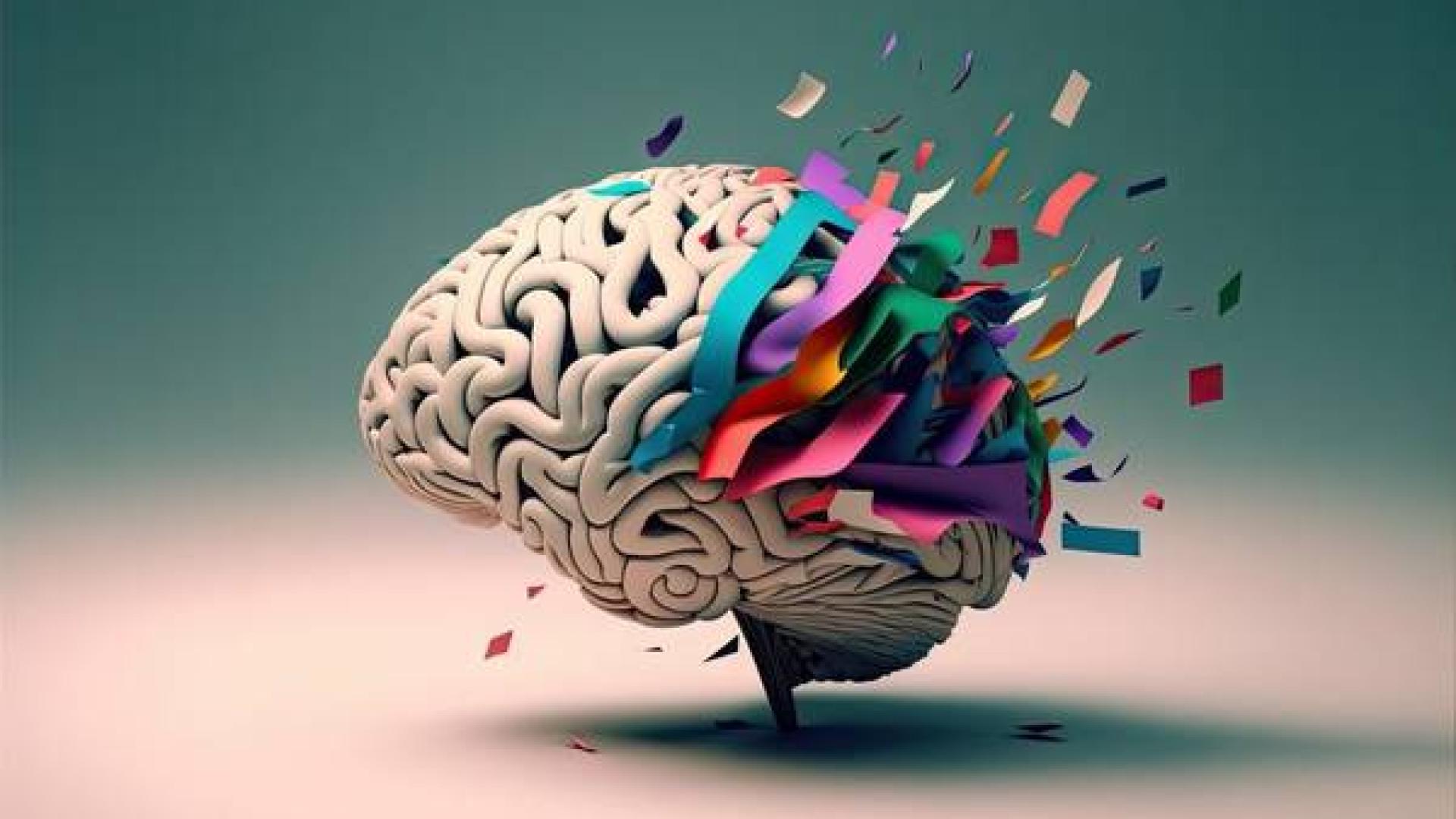 brain.