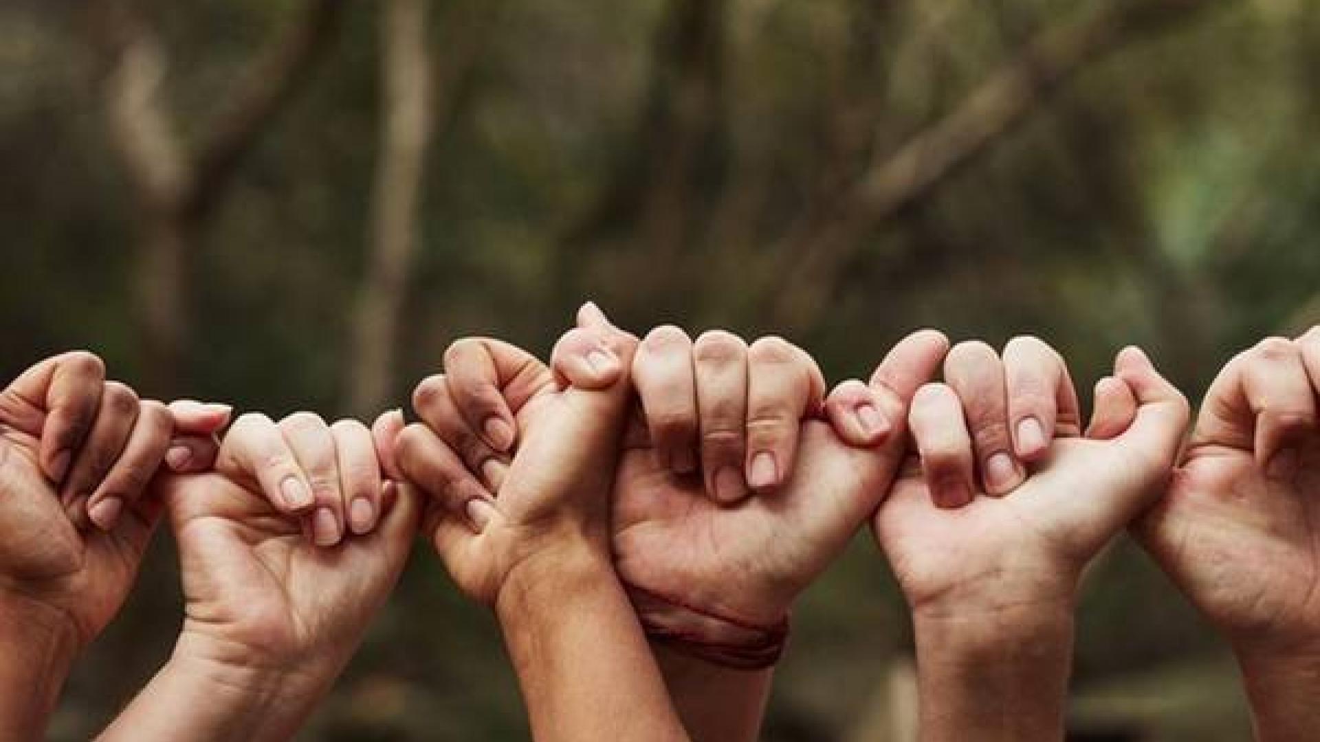 solidarity