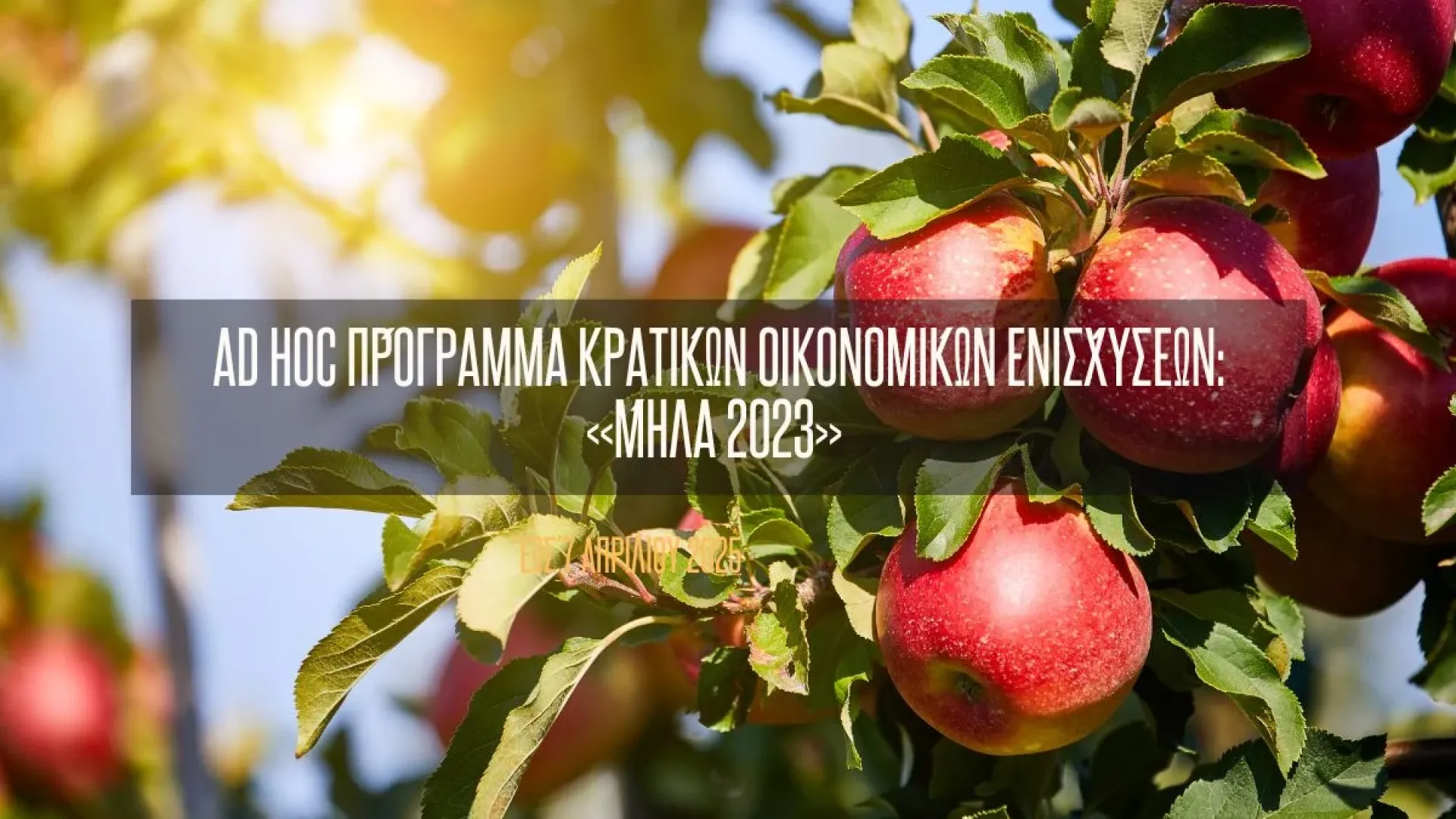 ad-hoc-programma-kratikon-oikonomikon-enisxyseon-mila-2023-korinthia