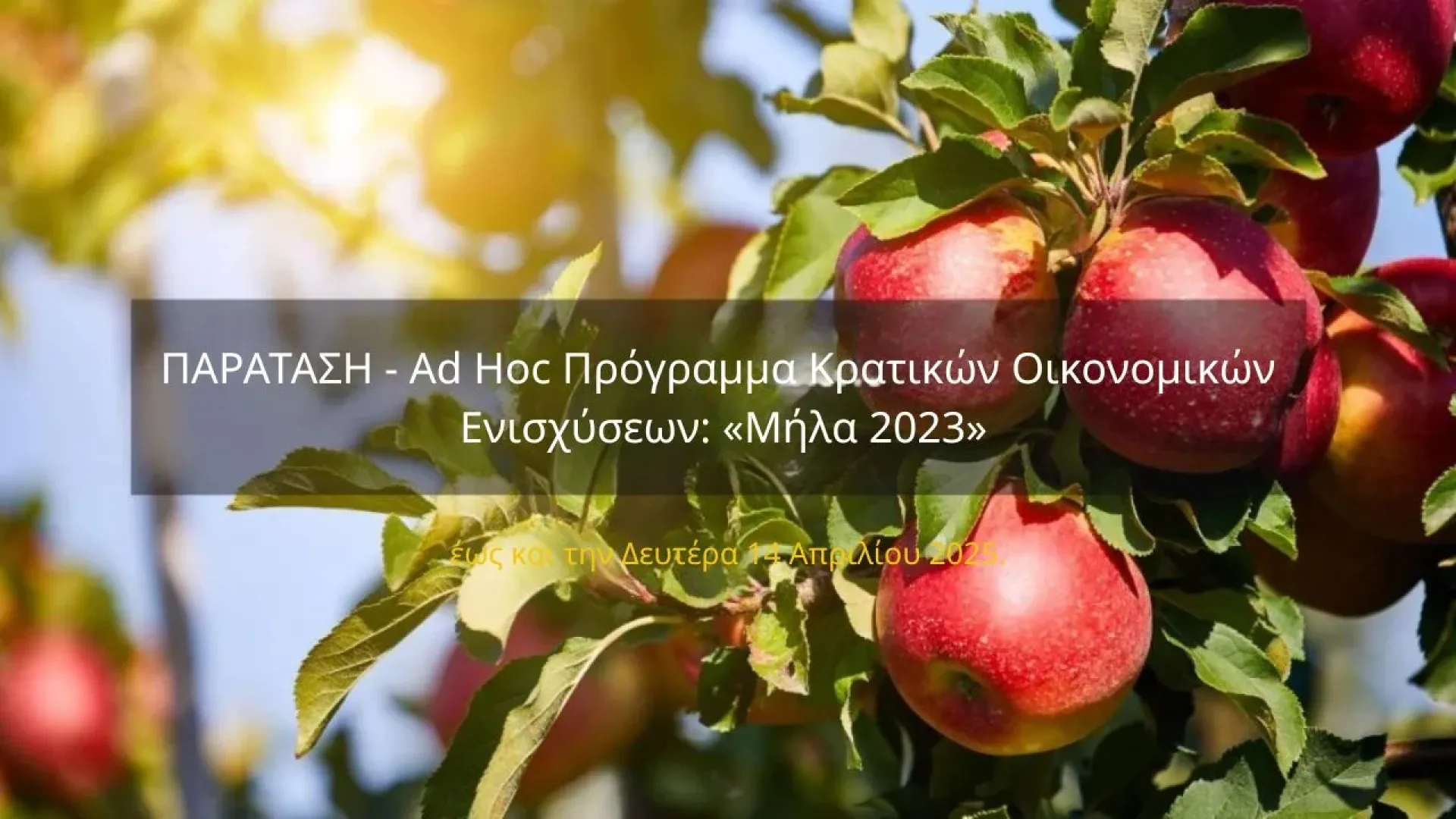paratasi-programma-oikonomiki-enisxysi-mila-2023