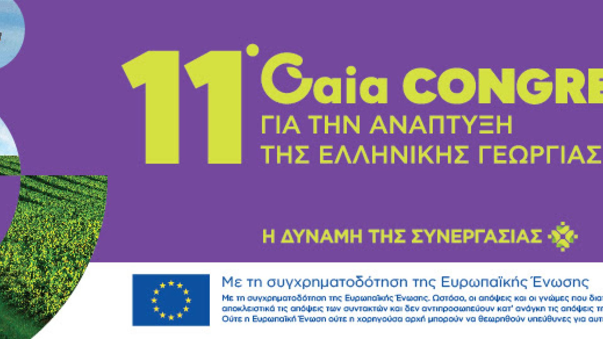 synedrio-elliniki-georgia