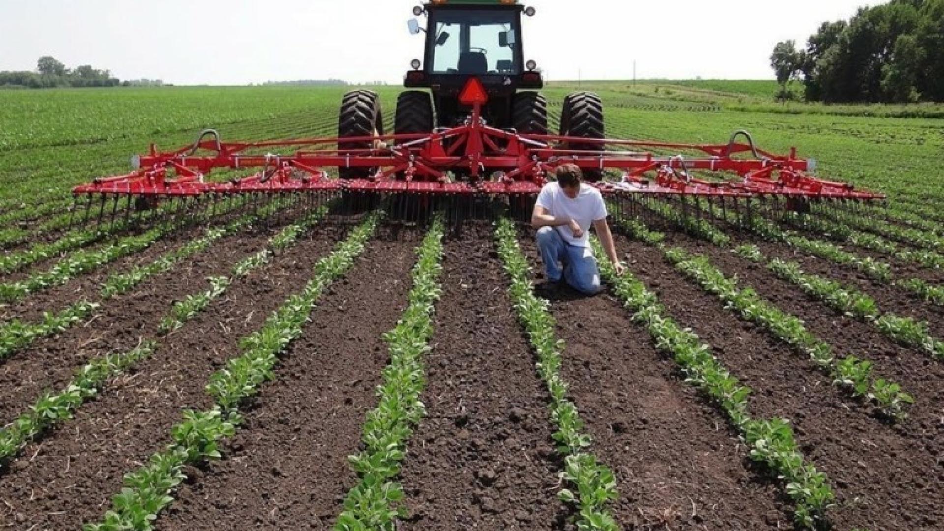 tameio-agrotes