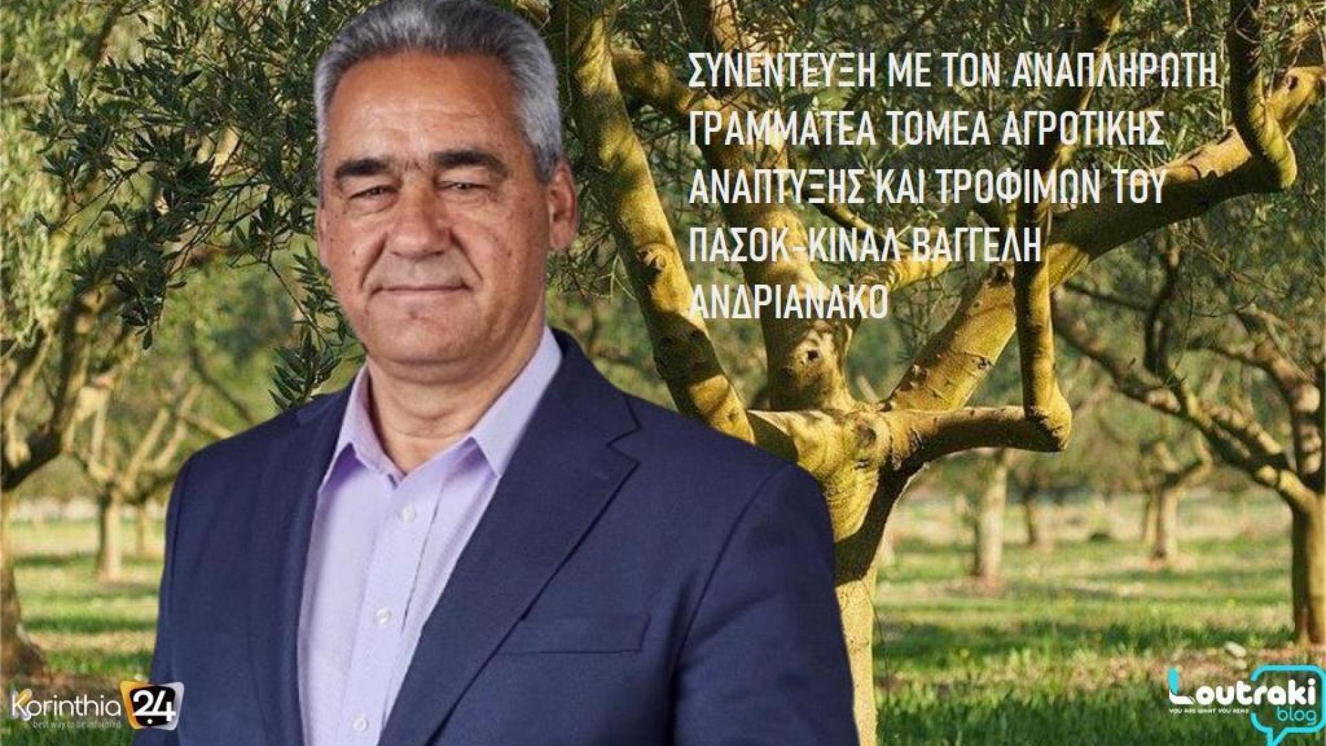 vaggelis-andrianakos-pasok-synenteuxi