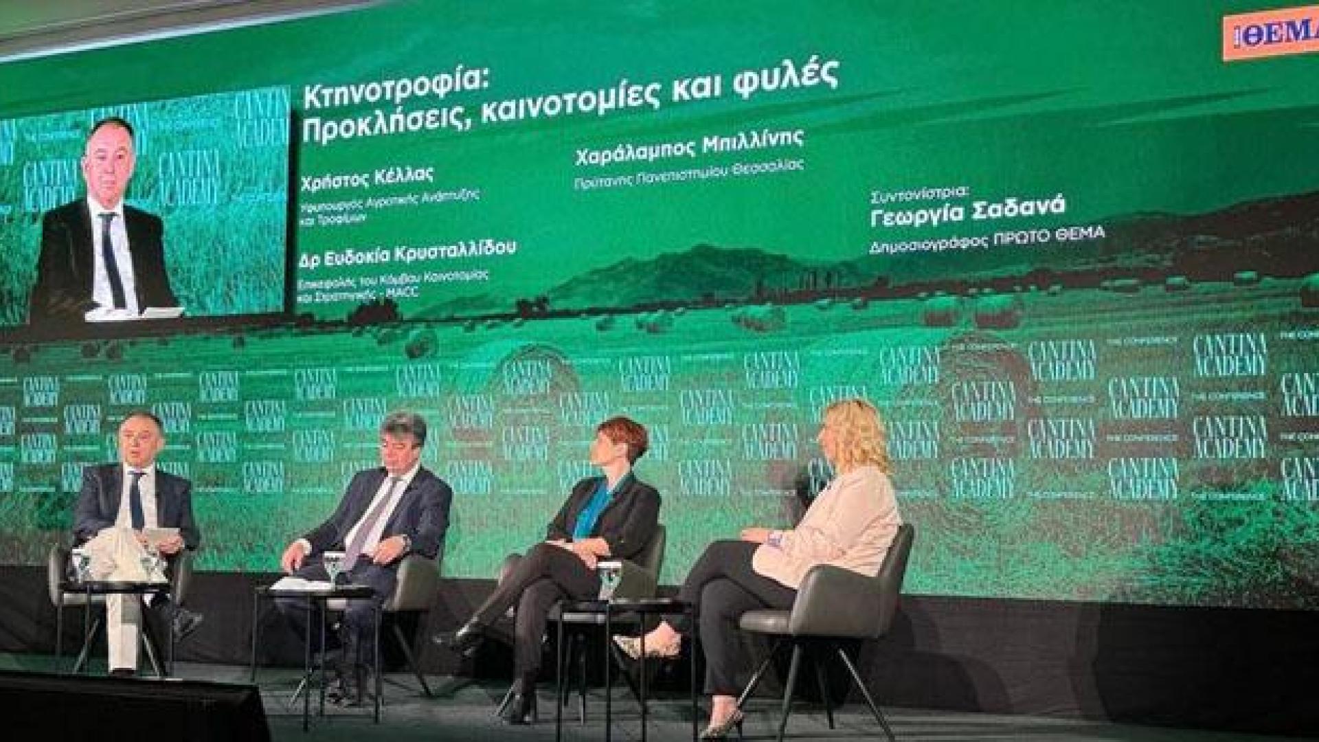 fototypos