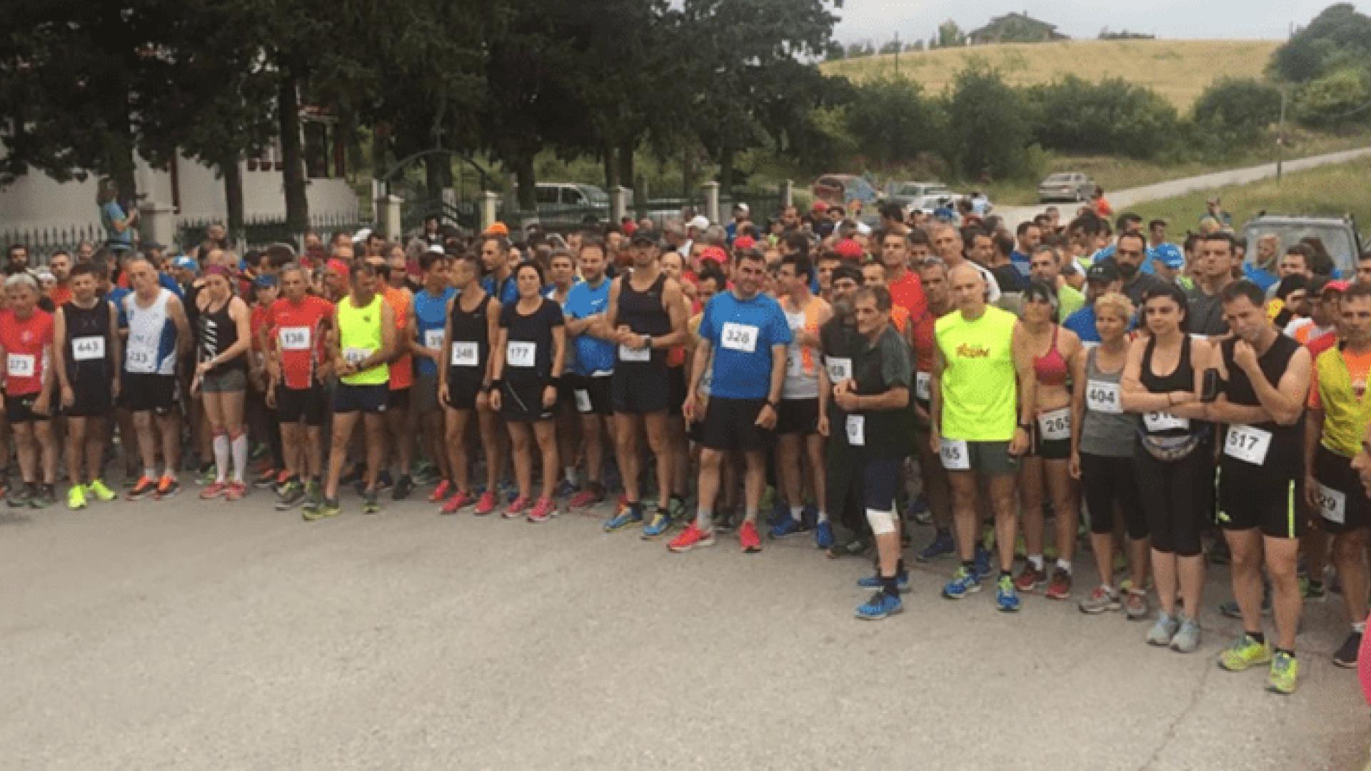 apostolou-pavlou-