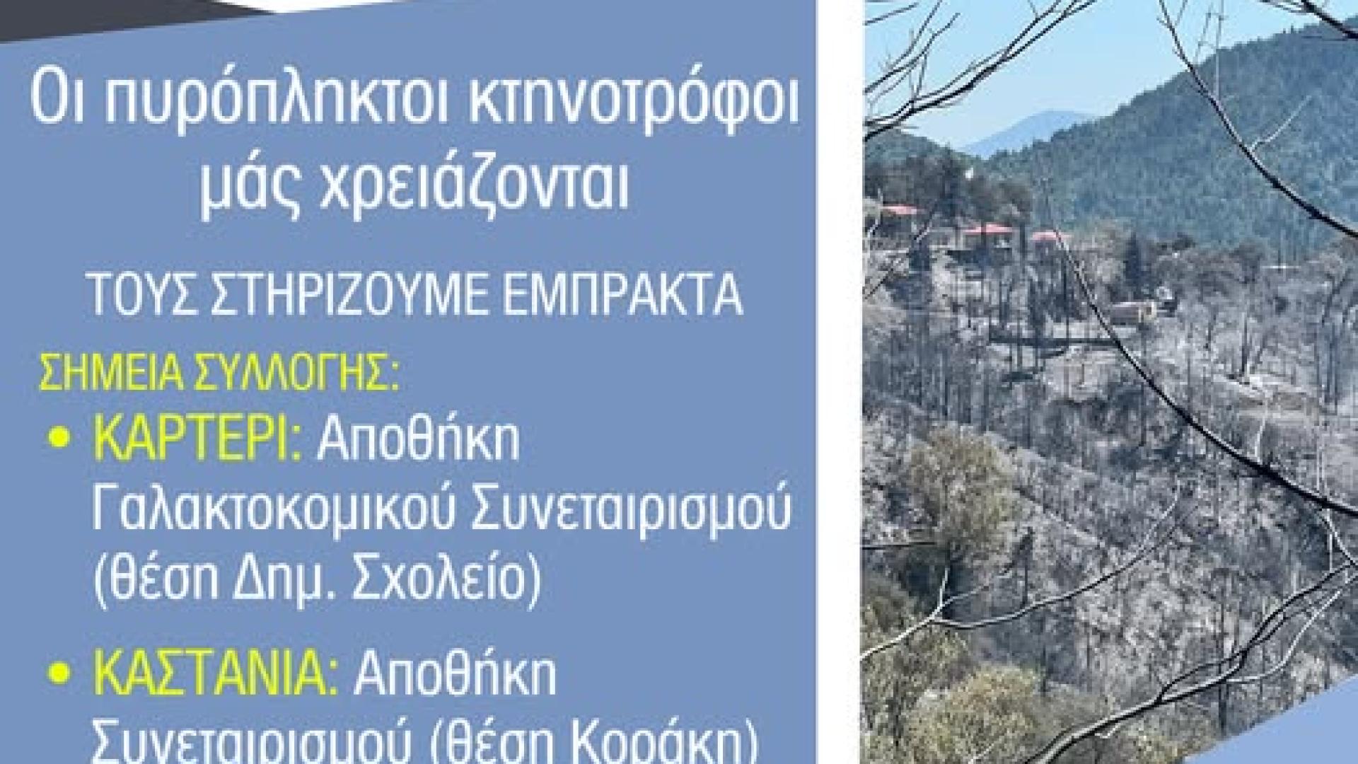 sygkentrosi trofimon