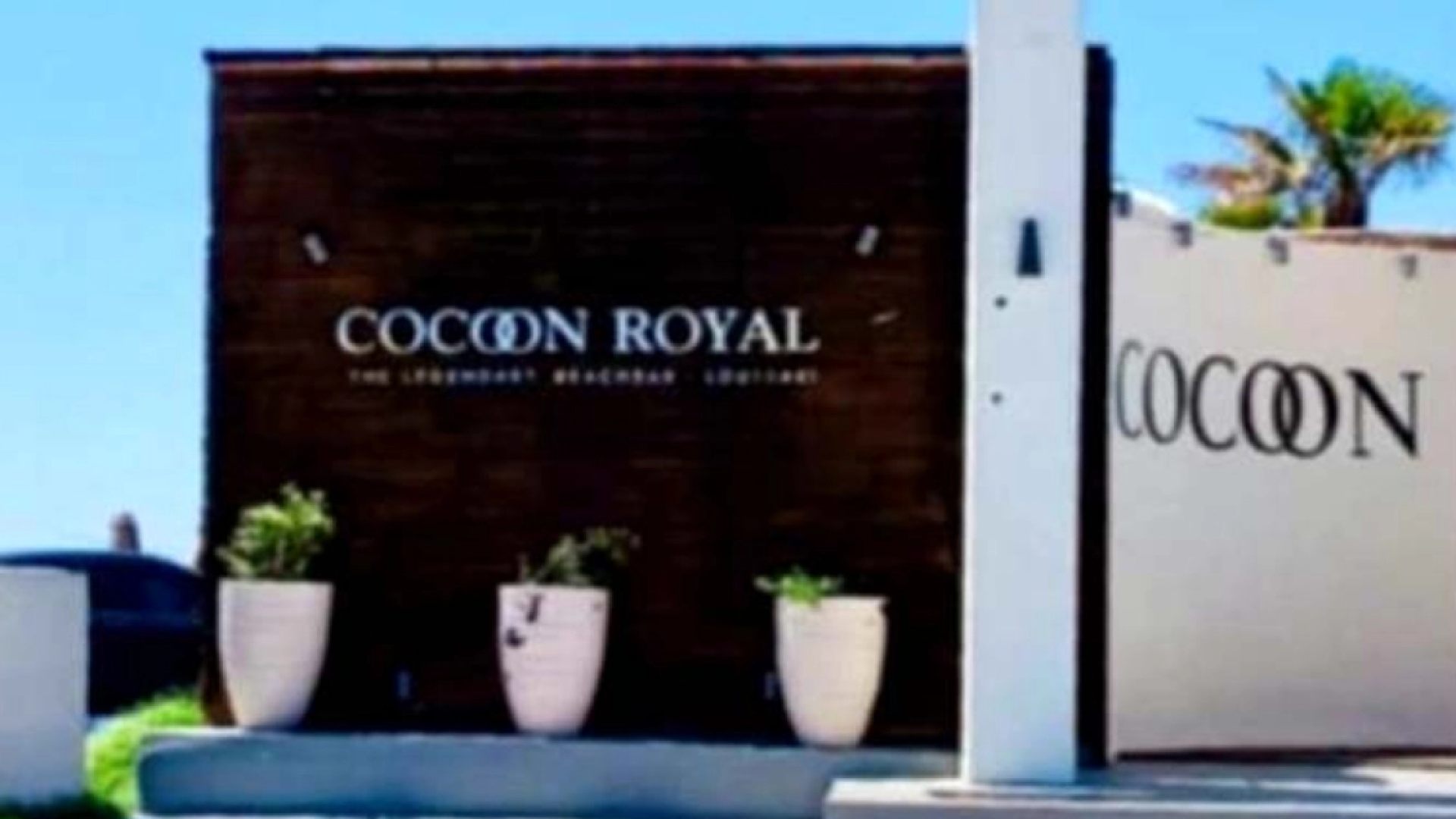 cocoon