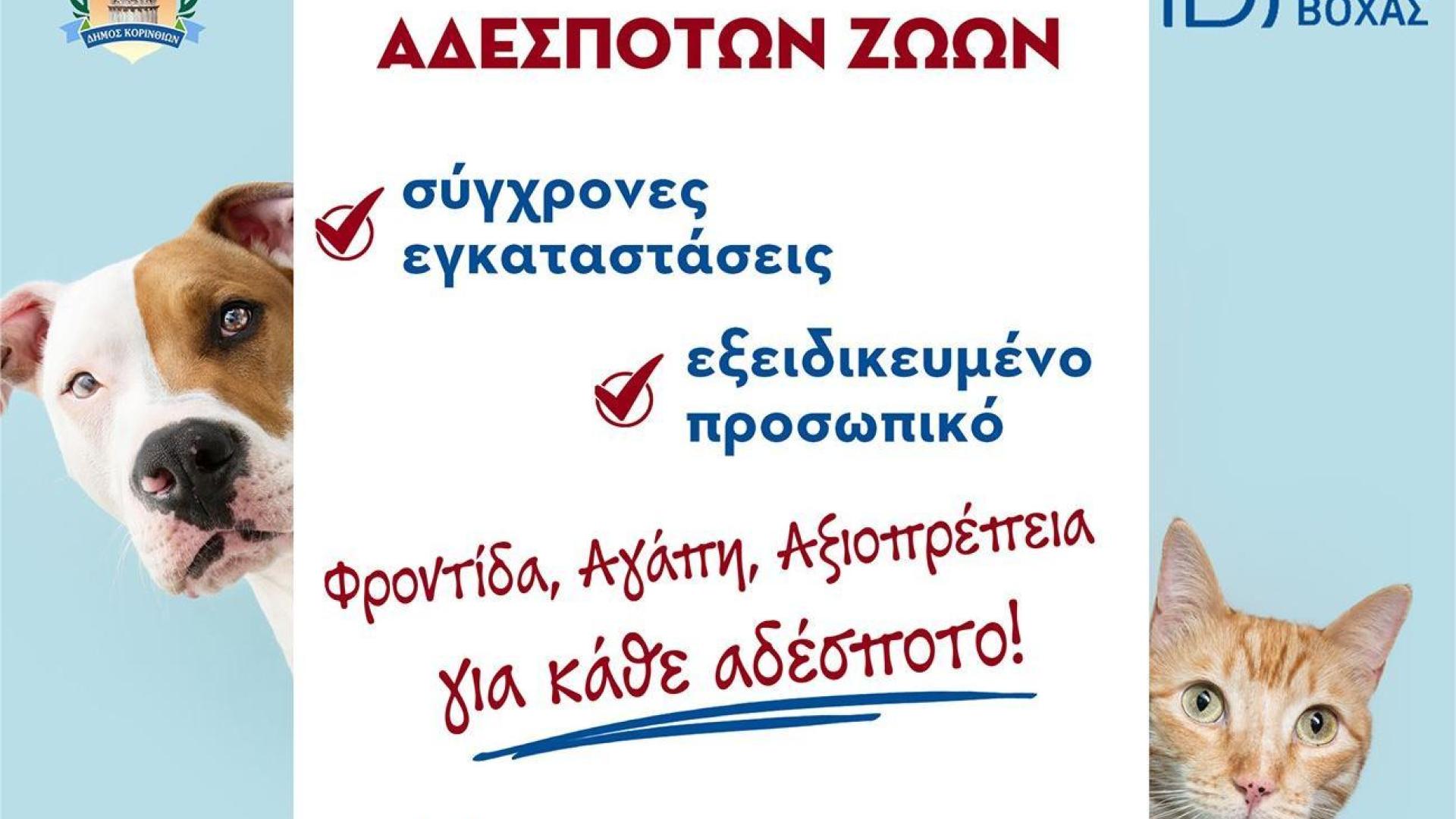 αδεσποτα