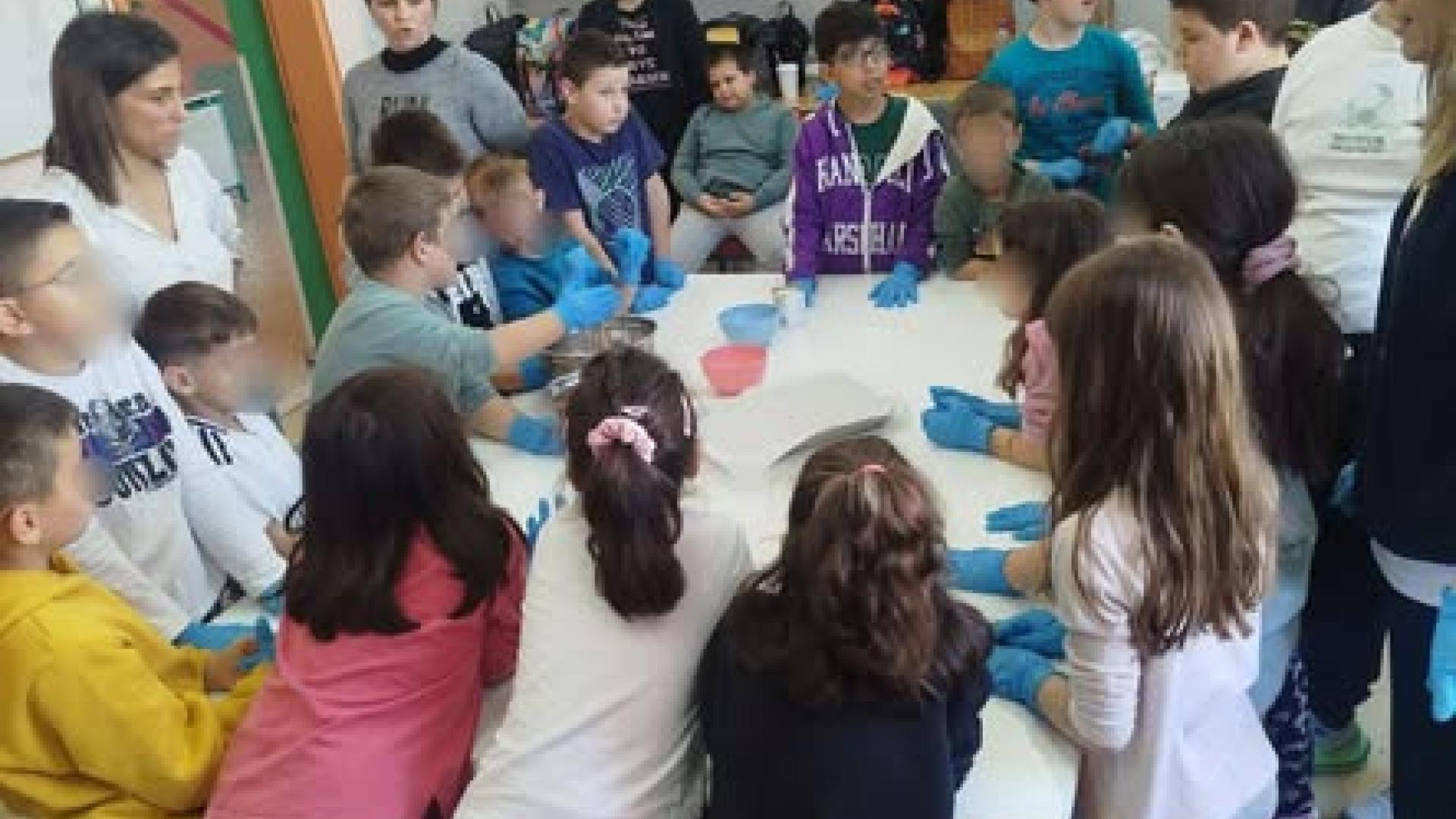 587096307_1568327804346221_7785214747089610486_n